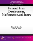 Perinatal Brain Development, Malformation, and Injury - Book
