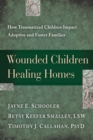 Wounded Children, Healing Homes - Book