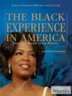 The Black Experience in America - eBook