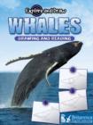 Whales - eBook