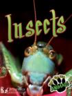 Insects - eBook