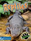 Reptiles - eBook