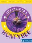 Honeybee - eBook