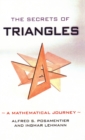 The Secrets of Triangles : A Mathematical Journey - Book