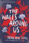 The Walls Around Us - Book