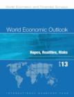 World Economic Outlook, April 2013 (Spanish) : Hopes, Realities, Risks - Book