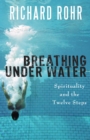 Breathing Under Water : Spirituality and the Twelve Steps - eBook