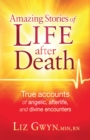 Amazing Stories of Life After Death - eBook