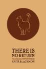 There Is No Return (Adelaide Adams Mystery) - Book