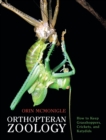 Orthopteran Zoology : How to Keep Grasshoppers, Crickets, and Katydids - Book