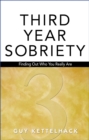 Third Year Sobriety : Finding Out Who You Really Are - eBook