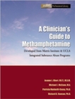 A Clinician's Guide to Methamphetamines : Developed from Matrix Institute and UCLA's Integrated Substance Abuse Programs - Book