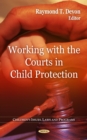 Working with the Courts in Child Protection - eBook