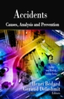 Accidents : Causes, Analysis and Prevention - eBook
