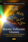Borate-Tellurate Glasses : An Alternative of Immobilization of the Hazardous Wastes - eBook