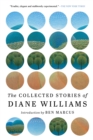Collected Stories of Diane Williams - eBook