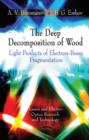 Deep Decomposition of Wood : Light Products of Electron-Beam Fragmentation - Book