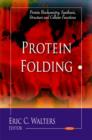 Protein Folding - Book