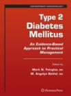 Type 2 Diabetes Mellitus: : An Evidence-Based Approach to Practical Management - Book