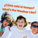 Como esta el tiempo? : What's The Weather Like? - eBook