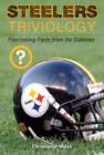Steelers Triviology : Fascinating Facts from the Sidelines - eBook