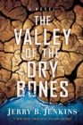 THE VALLEY OF DRY BONES : A Novel - Book