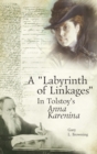 A "Labyrinth of Linkages" in Tolstoy's Anna Karenina - eBook
