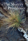 The Mystery of Providence - Book
