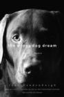 The Wrong Dog Dream : A True Romance - Book