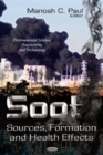 Soot : Sources, Formation & Health Effects - Book