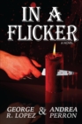 In a Flicker - Book