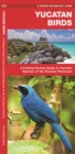 Yucatan Birds : A Folding Pocket Guide to Familiar Species of the Yucatan Peninsula - Book