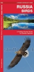 Russia Birds : A Folding Pocket Guide to Familiar Species - Book