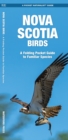 Nova Scotia Birds : A Folding Pocket Guide to Familiar Species - Book