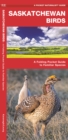 Saskatchewan Birds : A Folding Pocket Guide to Familiar Species - Book