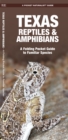 Texas Reptiles & Amphibians : A Folding Pocket Guide to Familiar Species - Book
