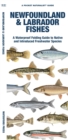 Newfoundland & Labrador Fishes : A Waterproof Folding Guide to Native and Introduced Freshwater Species - Book