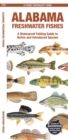 Alabama Freshwater Fishes : A Waterproof Folding Guide to Native and Introduced Species - Book