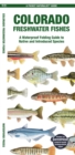 Colorado Freshwater Fishes : A Waterproof Folding Guide to Native and Introduced Species - Book