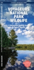 Voyageurs National Park Wildlife : A Waterproof Folding Pocket Guide to Native Species - Book