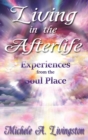 Living in the Afterlife - Experiences from the Soul Place - Book