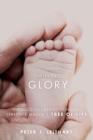 Shining Glory - Book