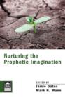 Nurturing the Prophetic Imagination - Book