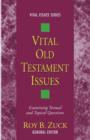 Vital Old Testament Issues - Book