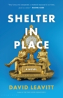 Shelter in Place - eBook