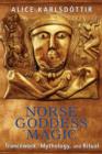 Norse Goddess Magic : Trancework, Mythology, and Ritual - Book