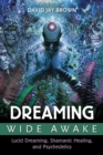 Dreaming Wide Awake : Lucid Dreaming, Shamanic Healing, and Psychedelics - eBook