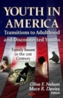 Youth in America : Transitions to Adulthood & Disconnected Youths - Book