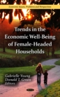 Trends in the Economic Well-Being of Female-Headed Households - Book