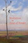 Meditations in Times of Wonder - Book